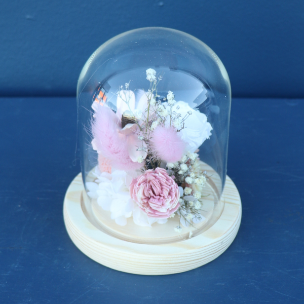 Preserved Dome | Flamenco