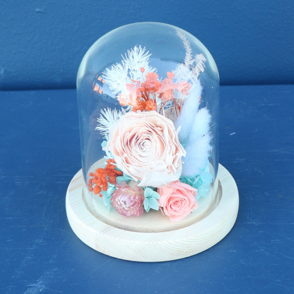 Preserved Dome | Foxtrot