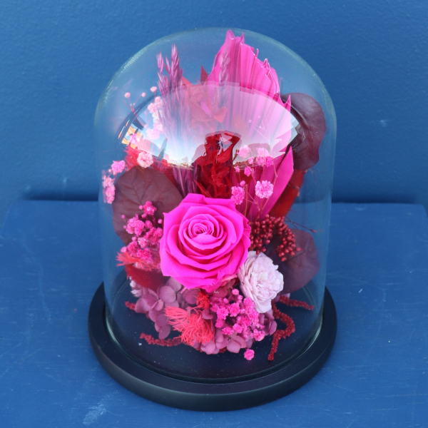 Preserved Dome | Tango