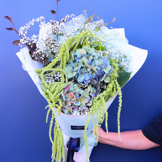 BEST BUY | DRAMA QUEEN