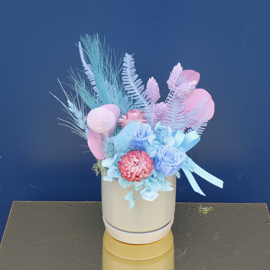 Preserved Arrangement | Cha-cha