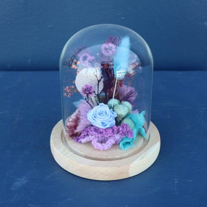 Preserved Dome | Chacha