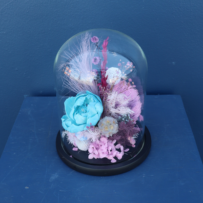 Preserved Dome | Chacha