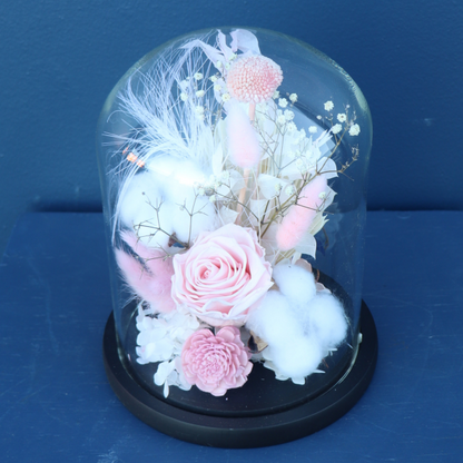 Preserved Dome | Flamenco