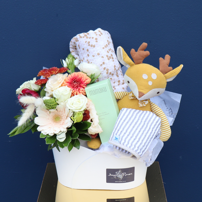 Baby Hamper | Wild One