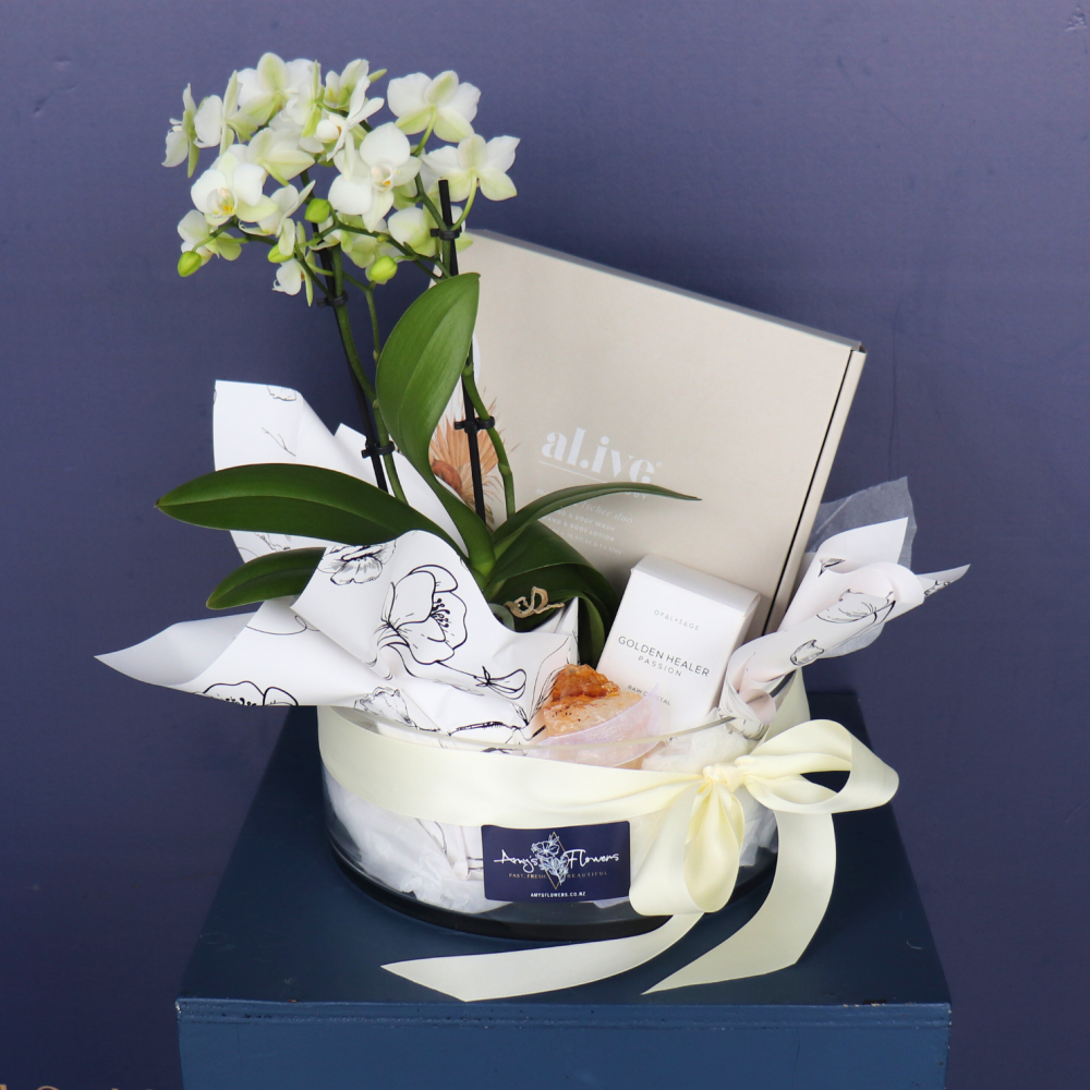 Gift Hamper | A Fresh Start