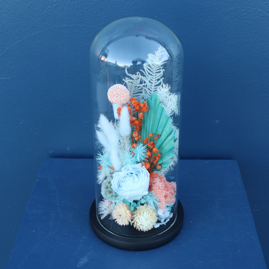 Preserved Dome | Foxtrot