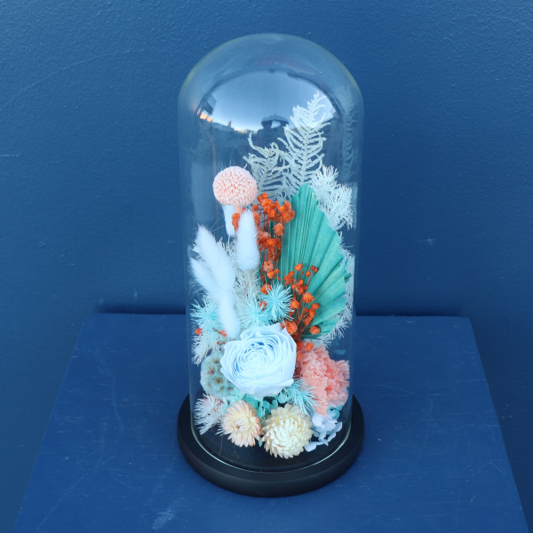 Preserved Dome | Foxtrot