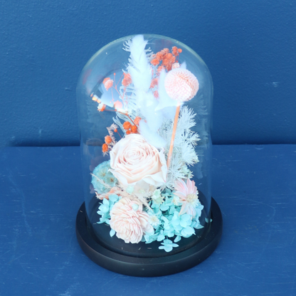 Preserved Dome | Foxtrot