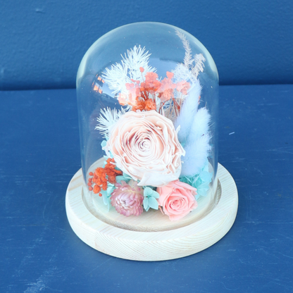 Preserved Dome | Foxtrot