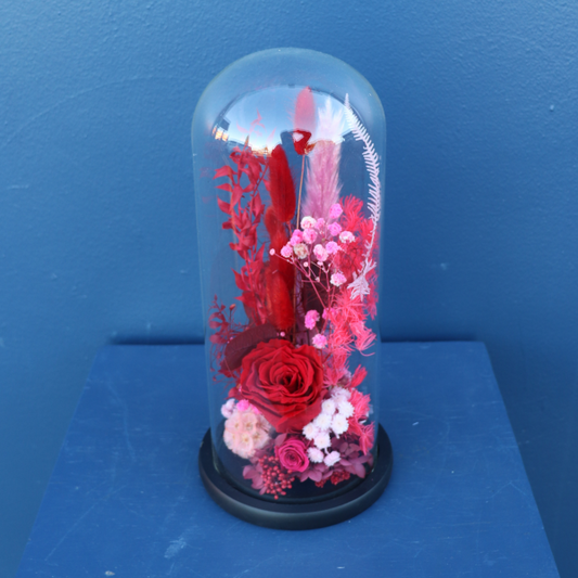 Preserved Dome | Tango