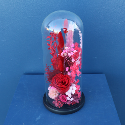 Preserved Dome | Tango