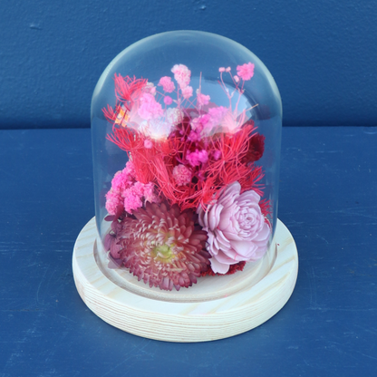 Preserved Dome | Tango