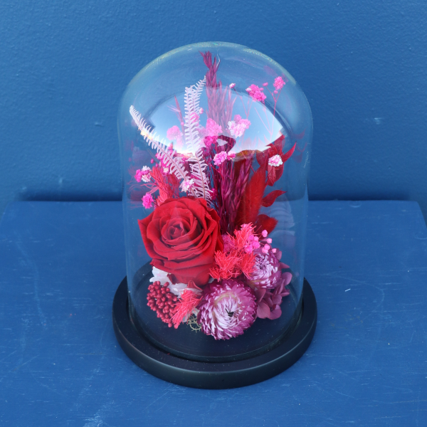 Preserved Dome | Tango