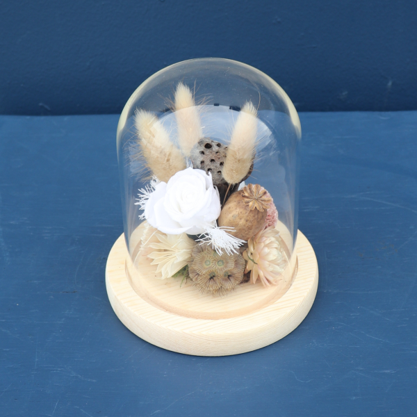 Preserved Dome | Vienna Waltz