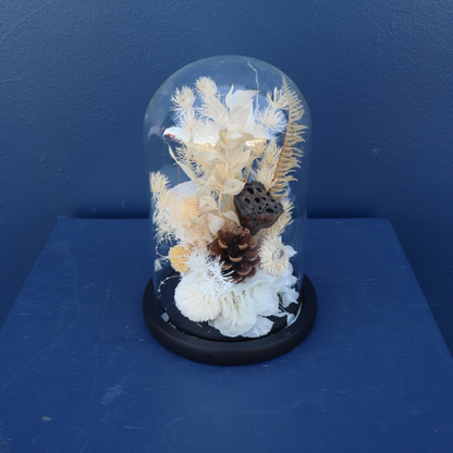 Preserved Dome | Vienna Waltz