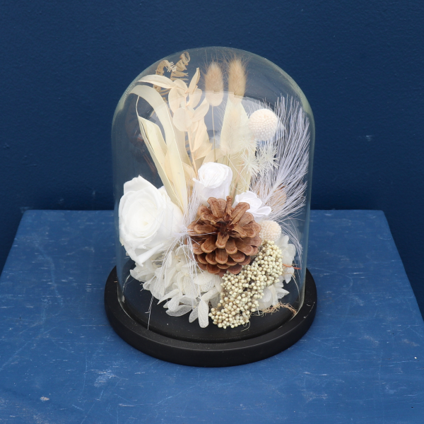 Preserved Dome | Vienna Waltz