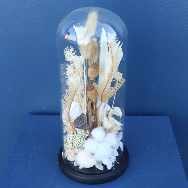 Preserved Dome | Vienna Waltz