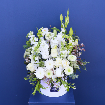 Hat Box | Thinking Of You