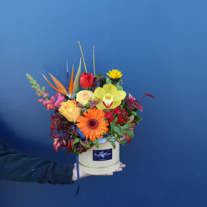 Hatbox | Sending Sunshine