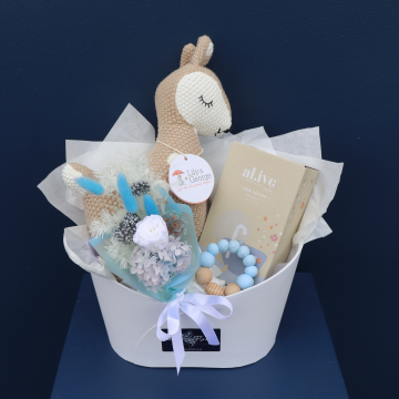 Gift Hamper Preserved Baby | Nurture Nest