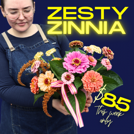 BEST BUY | Zesty Zinnia 