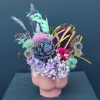 Preserved Arrangement | Aurora