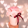 Valentines Everlasting Roses | CALL ME 