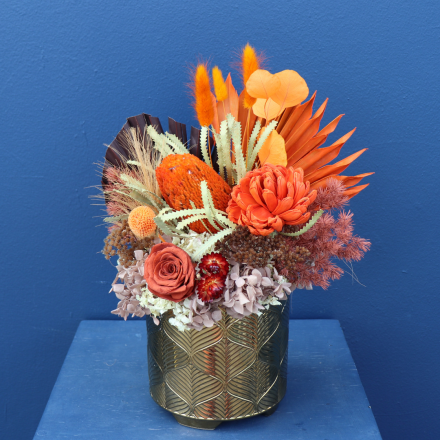 Preserved Arrangement | Solar Flare