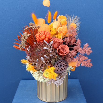 Preserved Arrangement | Solar Flare